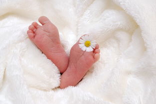 弓形虫感染对胎儿有什么影响？